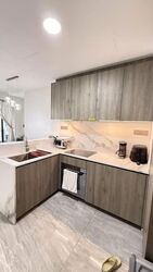 Leedon Green (D10), Condominium #625572451